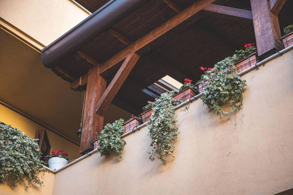 La Corte Apartment Monza - Milano + Free Wi-Fi Lissone Eksteriør bilde