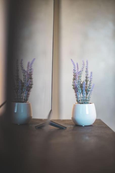 La Corte Apartment Monza - Milano + Free Wi-Fi Lissone Eksteriør bilde